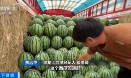 吃瓜香的网红有哪些,盘点吃瓜界的网红达人