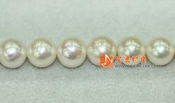 珍珠耳环手机在线观看,指尖上的浪漫时光