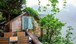 免费吃瓜群小木屋,揭秘网络社交新趋势