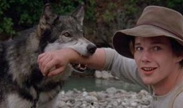 狗与狼的时间在线观看,在线观看时间线揭秘