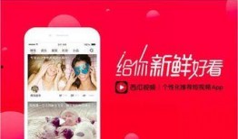 吃瓜鹅娱乐速报视频,最新热点事件大盘点