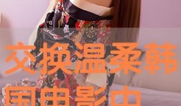 交换温柔 在线观看,一场跨越时空的深情邂逅