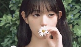 张元英最新爆料新闻,揭秘明星私生活背后的惊人真相