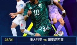 沙特媒体爆料c罗视频,引发舆论风波