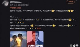 圈内人爆料浪浪钉,圈内人爆料背后的科技魅力
