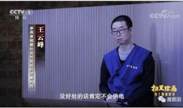 王成文妻子爆料视频播放,揭秘背后惊人真相