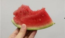 吃瓜网红吃瓜网站,带你领略网络吃瓜文化的魅力