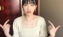 刘修正前女友爆料视频大全,揭秘背后惊人真相