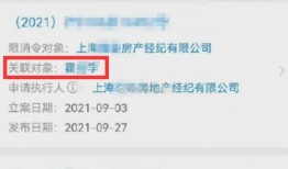 静怡聊天爆料视频,揭秘幕后故事与精彩瞬间