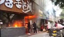 石家庄饭店爆料视频最新,视频揭露惊人内幕