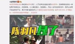 陈赫二姐爆料视频播放大全,揭秘娱乐圈不为人知的一面