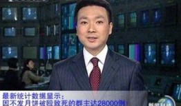 天涯爆料康辉简介图片视频,康辉简介图片视频背后的故事揭秘