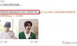 白鹿和张凌赫圈内爆料,揭秘娱乐圈背后的真实故事