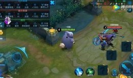 橘猫王者爆料视频在线观看,揭秘游戏幕后精彩瞬间