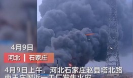 洪大炮粉丝爆料视频,揭秘幕后真相