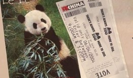 青春知情人爆料熊猫堂视频