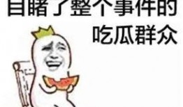 吃瓜群众无敌小强小说免费阅读,揭秘小说中的奇幻冒险之旅