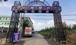 徐水长城最新爆料事件,揭秘古代军事要塞的神秘面纱