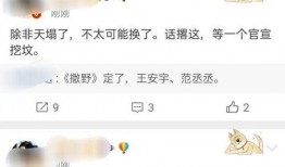 新瓜爆料在哪里看视频,独家视频观看指南