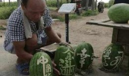 宿州网红团长吃瓜,揭秘网络红人的幕后故事