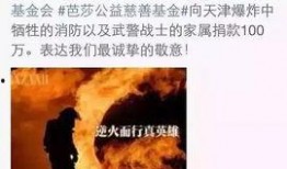 最新追星爆料完整版,最新追星爆料完整版深度解析