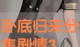 卧底在线观看免费,揭秘卧底在线免费观看的惊险历程