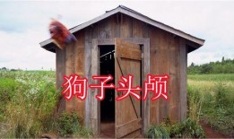 免费吃瓜群小木屋,揭秘网络社交新趋势