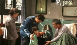 电视剧岁月如金在线观看,重温经典，共鉴人生百态