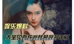 娱乐爆料于文文,文文新动态，揭秘她背后的故事