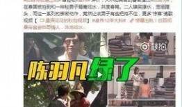 斥罪爆料视频怎么处理的,应对策略与法律依据