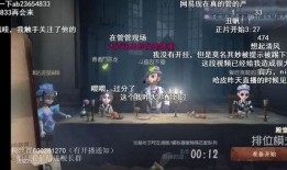 流萤战技爆料视频,全新爆料视频带你领略神秘技能魅力