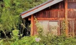 免费吃瓜群小木屋,揭秘网络社交新趋势