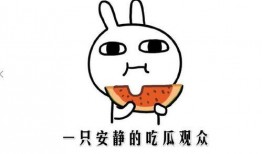 吃瓜网红吃瓜网站,带你领略网络吃瓜文化的魅力