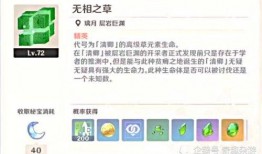 原神4.0过后最新爆料,神秘角色揭晓，探索未知领域