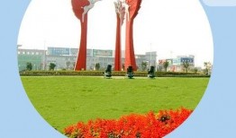 最近爆料靖江新闻,最新爆料揭示惊人内幕