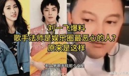 娱乐圈爆料歌曲,揭秘明星背后的故事