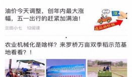湖南常宁新闻爆料,惊现重大事件，真相令人震惊！