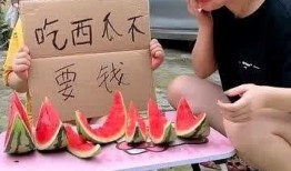 美女免费吃瓜套路网站,揭秘网络陷阱背后的真相