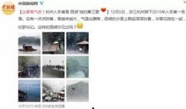 潮汕网红爆料事件真相视频,揭秘真相背后的曲折历程