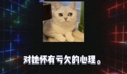 娱乐综艺吃瓜八卦,揭秘明星幕后那些事儿