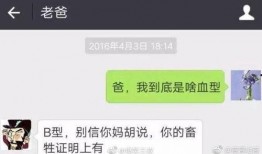 爆料有趣新闻有哪些,盘点那些令人捧腹的爆料趣闻
