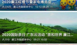 廉江市新闻爆料举报电话,守护城市安全与和谐，一键拨打举报热线