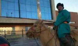 蒙古袍子爆料是真的吗视频,蒙古袍子爆料视频真实性揭秘