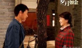 电视剧岁月如金在线观看,重温经典，共鉴人生百态