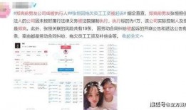 张恒员工爆料新闻,揭秘娱乐圈幕后真相与内幕