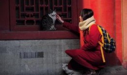 遗案中的疑案在线观看,在线揭秘悬而未决的神秘案件