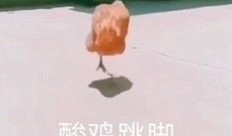 阿基米德薄荷糖爆料最新,探寻糖果背后的科学奥秘