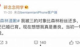 最新的网红吃瓜网站大全,揭秘热门平台，畅享娱乐盛宴