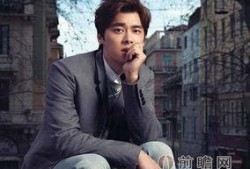 李易峰天涯真实爆料视频,娱乐圈背后的真相与争议