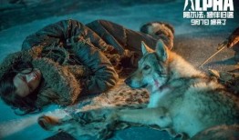 狗与狼的时间在线观看,在线观看时间线揭秘